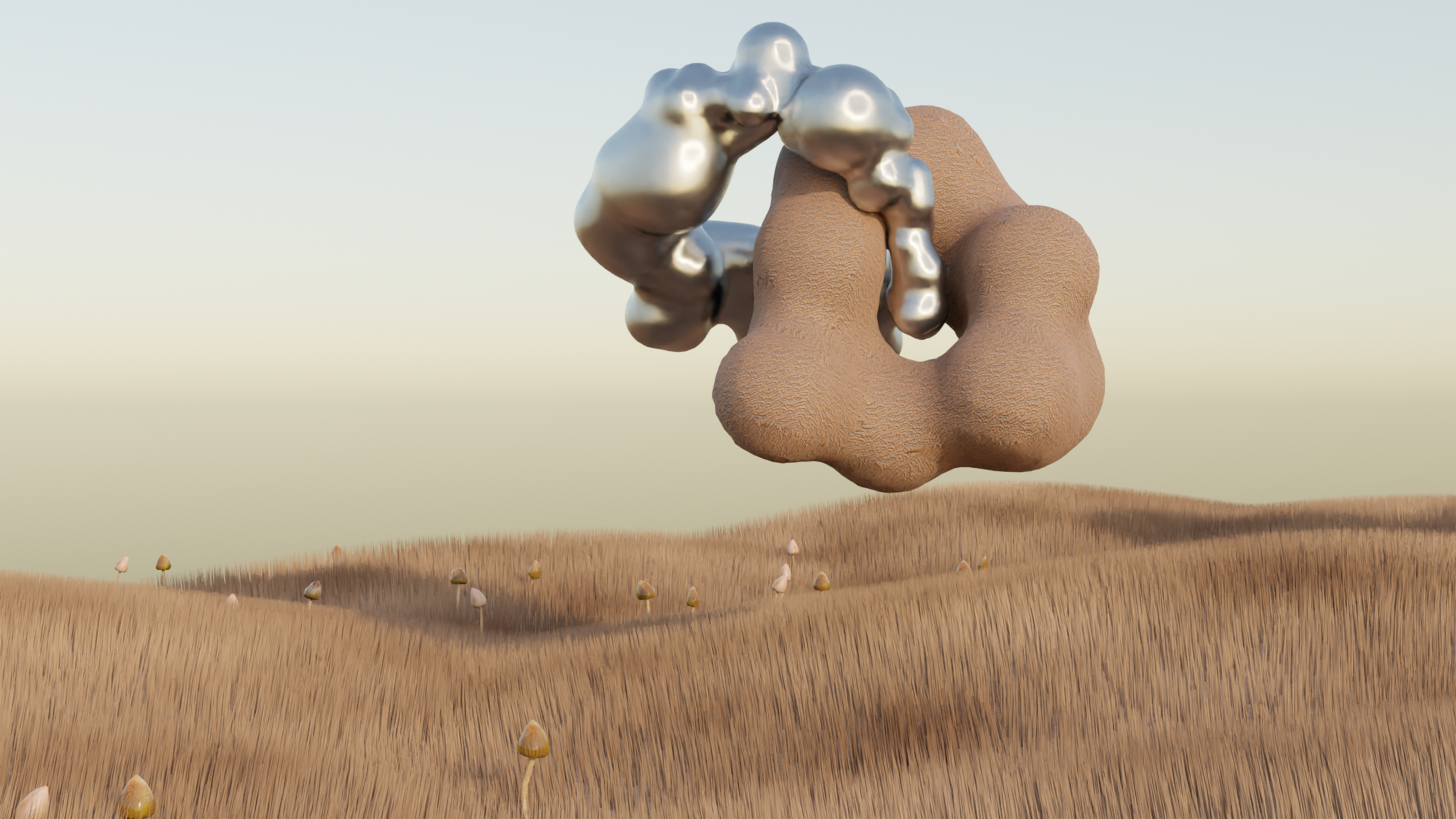 Fluid Bodies